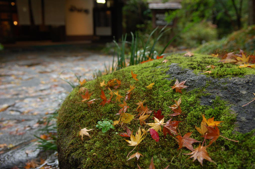 Hôtel Yamamizuki à Minamioguni Extérieur photo